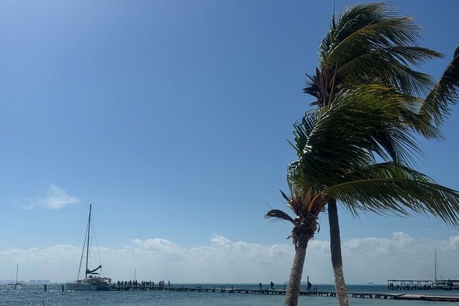 Isla Mujeres Plus Tour with Snorkeling Buffet and Open Bar - Snorkeling at Arrecife El Meco and its underwater sculptures
