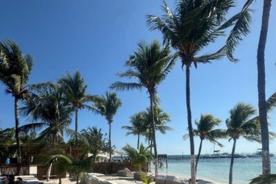 Isla Mujeres Plus Tour with Snorkeling Buffet and Open Bar