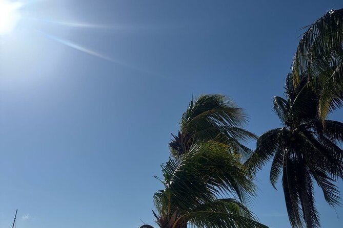 Isla Mujeres Plus Tour with Snorkeling Buffet and Open Bar - Two hours at Playa Norte, the day’s strongest stop