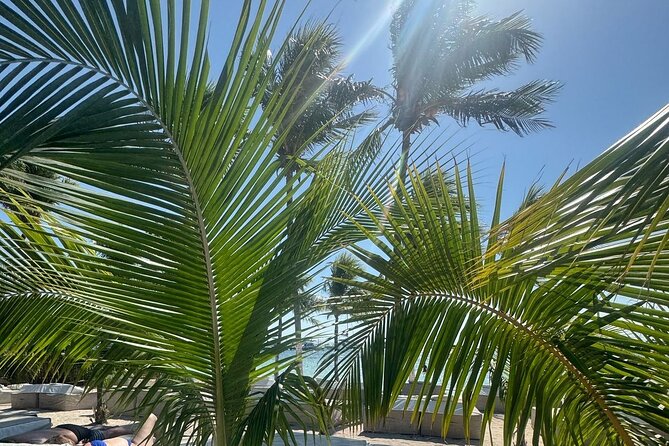 Isla Mujeres Plus Tour with Snorkeling Buffet and Open Bar - Who should book this Isla Mujeres outing