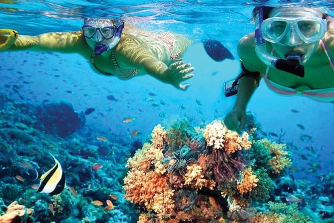 Isla Mujeres tour in a Catamaran with snorkel, open bar, lunch - Who Will Enjoy This Isla Mujeres Tour Most