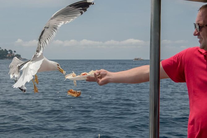 Island Hopping & City Walls Cruise with Food and Open Bar - Comfort, sun, and the realities of a boat day