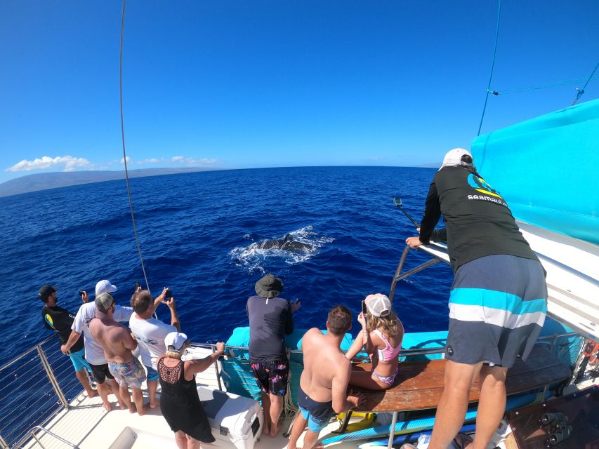 Kaanapali: Whale Watching Cruise with Open Bar - Leaving Kaanapali Beach for Whale Country