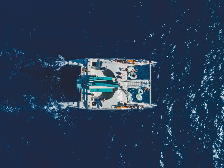 Kaanapali: Whale Watching Cruise with Open Bar - The Guides Make the Difference