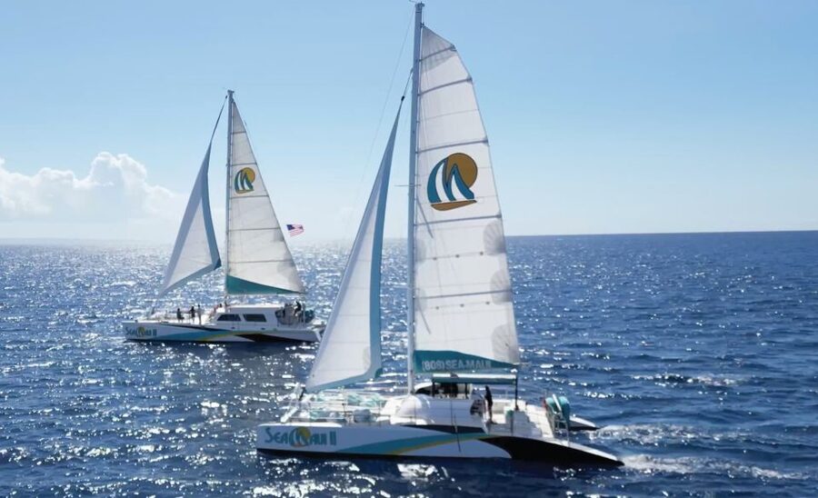 Kaanapali: Whale Watching Cruise with Open Bar - Is the Open Bar Worth the $103 Price?