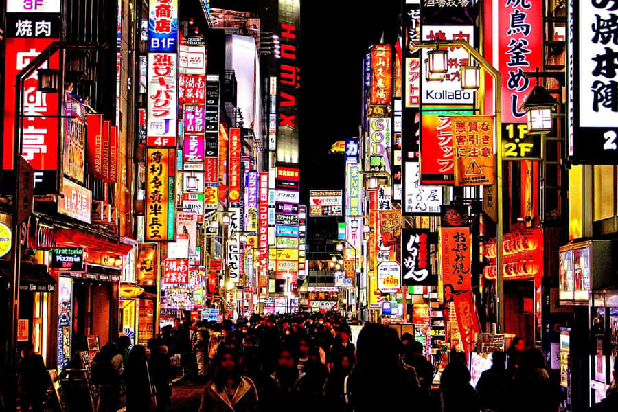 Kabukicho bar hopping & grab a bite tour - A night that connects food, streets, and show business