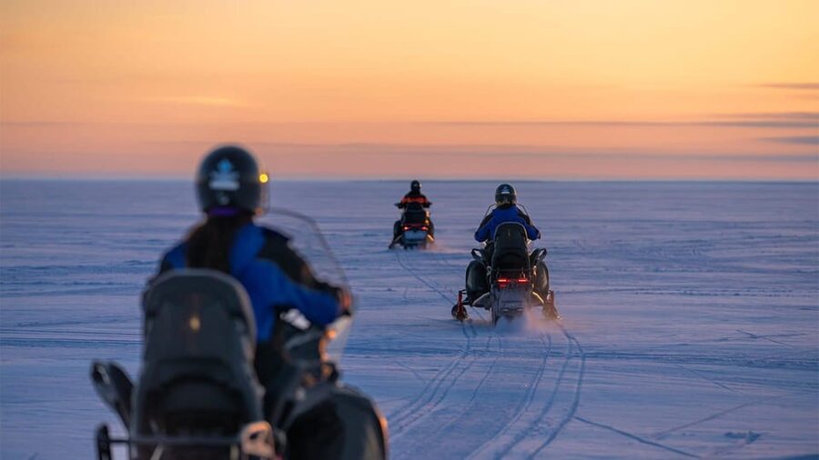 Kemi-Tornio: Snowmobile Forest Safari w/ Hot Drink & Snacks - Key points at a glance