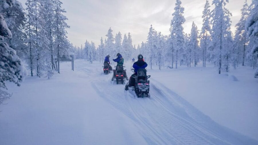 Kemi-Tornio: Snowmobile Forest Safari w/ Hot Drink & Snacks - Across the open ice of Bothnian Bay