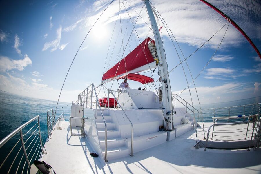 Key West: 3-Hour Afternoon Reef Snorkel with Drinks - Key points at a glance
