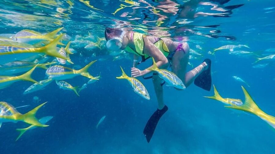 Key West: Afternoon Reef Snorkel Tour with Open Bar - Key points at a glance