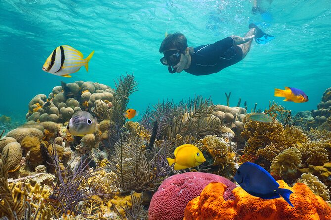 Key West Afternoon Reef Snorkeling with Open Bar - A crew that works well for beginners