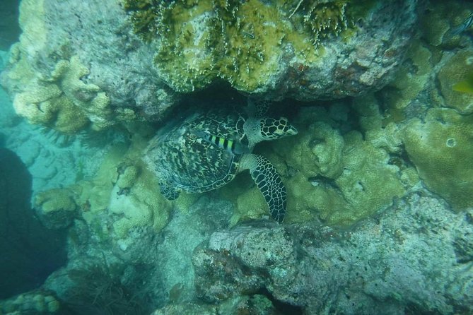 Key West Afternoon Reef Snorkeling with Open Bar - The boat, seating, and comfort level