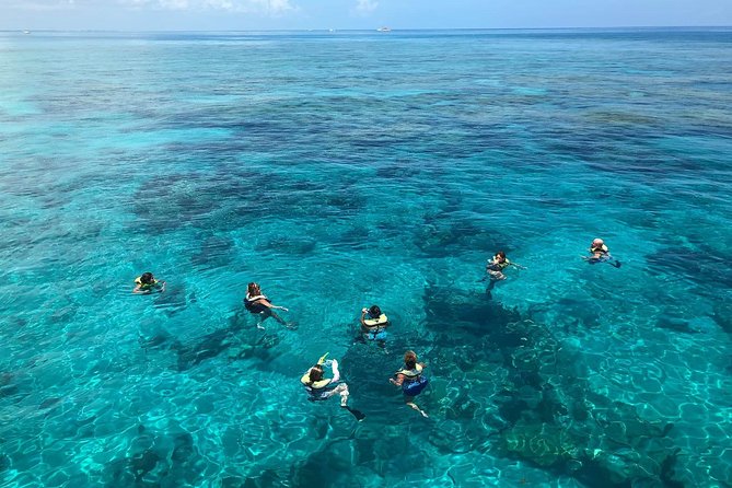 Key West Afternoon Reef Snorkeling with Open Bar - Who will enjoy this trip most