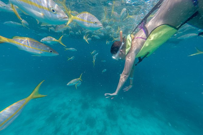 Key West Afternoon Snorkel Sail with Unlimited Cocktails! - Sailing from Key West’s historic seaport