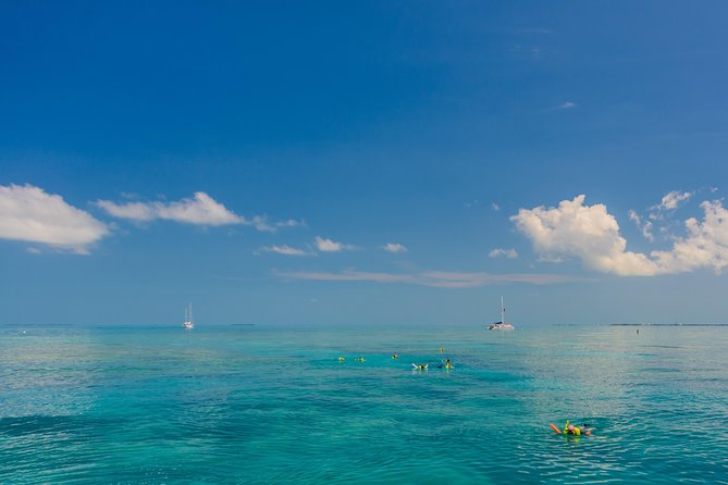 Key West Afternoon Snorkel Sail with Unlimited Cocktails! - Who will enjoy this afternoon most?