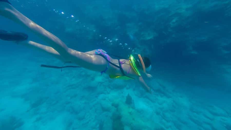 Key West: Catamaran Snorkel with Seafood Boil and Open Bar - Key Points