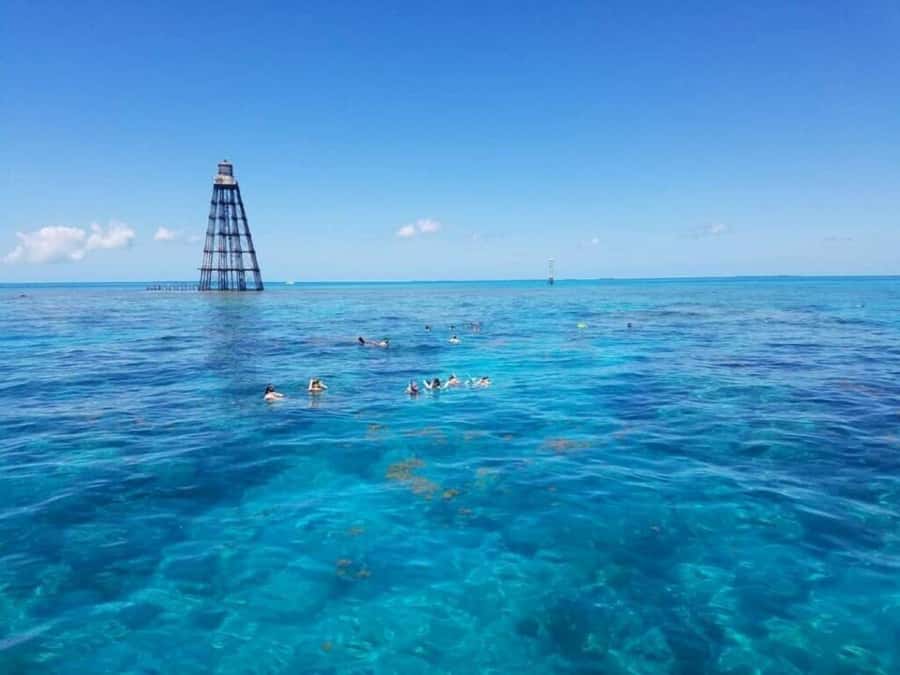 Key West: Catamaran Snorkel with Seafood Boil and Open Bar - Two Key West Snorkeling Stops, Not Just a Boat Ride