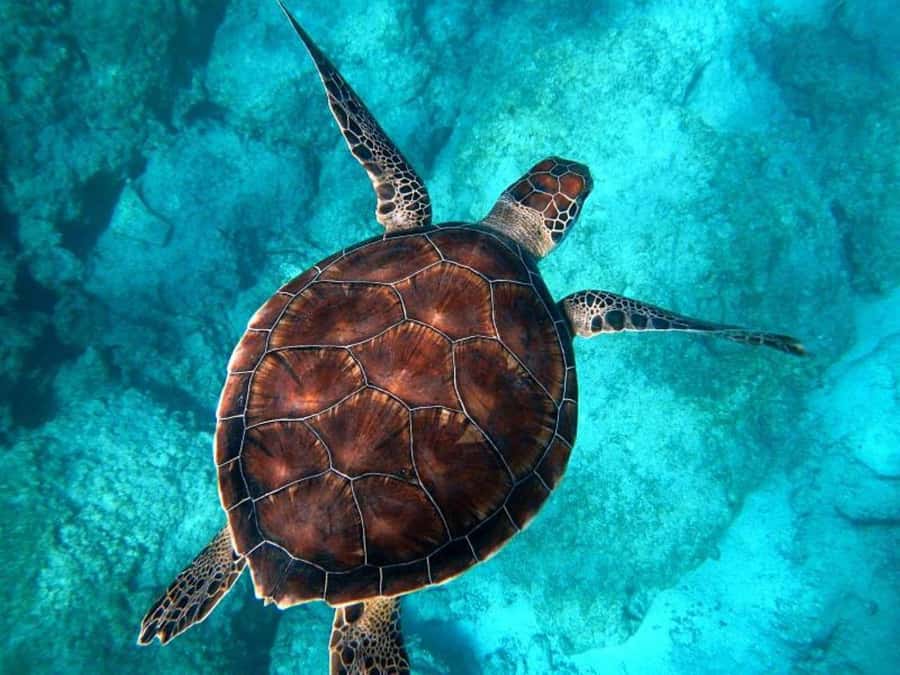 Key West: Catamaran Snorkel with Seafood Boil and Open Bar - Is $89 a Fair Price?