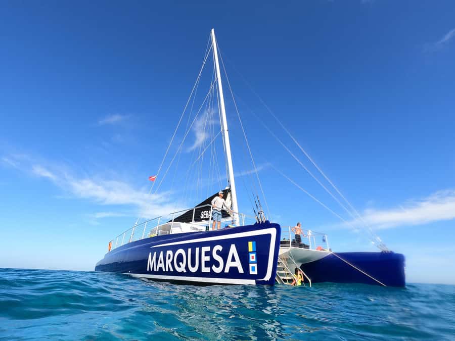 Key West: Catamaran Snorkel with Seafood Boil and Open Bar - What the Four-Hour Schedule Feels Like