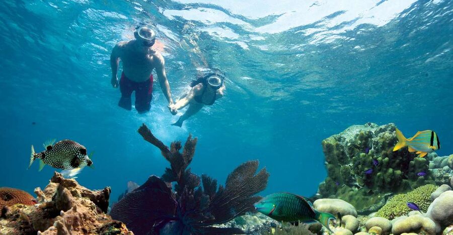 Key West: Reef Snorkeling with Drinks and Sunset Option - Key points to know before booking