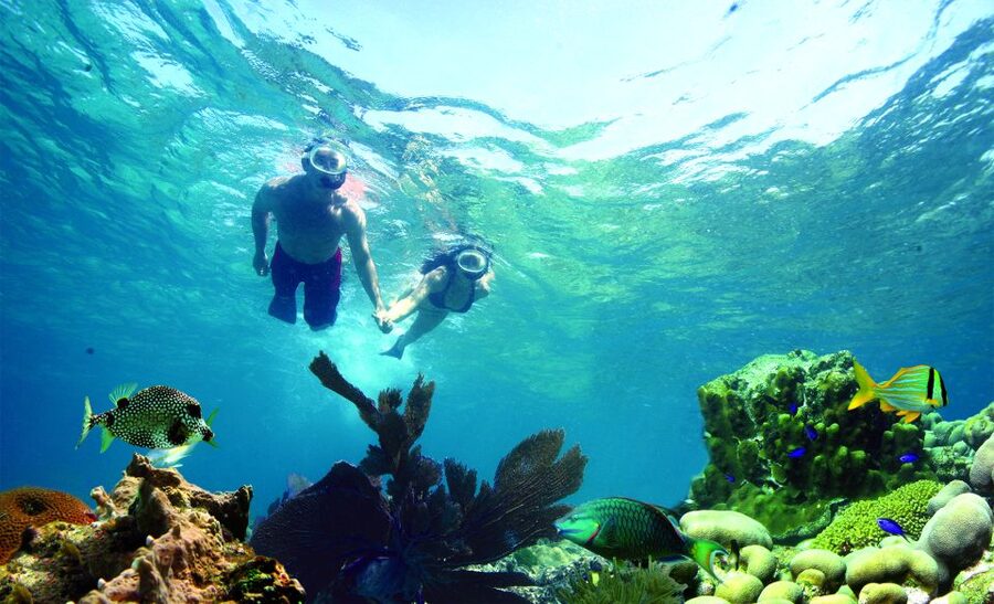 Key West: Reef Snorkeling with Drinks and Sunset Option - Drinks, deck space, and the ride home