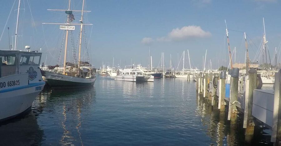 Key West Tour and Coral Reef Snorkeling with Open Bar - The catamaran trip to the coral reef