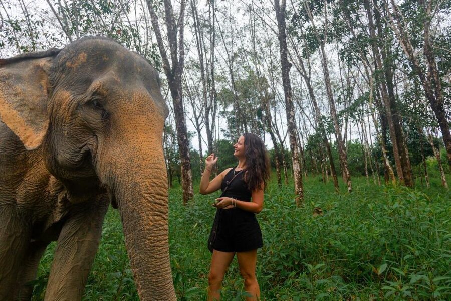 Khaolak: Sunset Elephant Walk with Complimentary Cocktail - Meeting Tony, the guide who shapes the visit