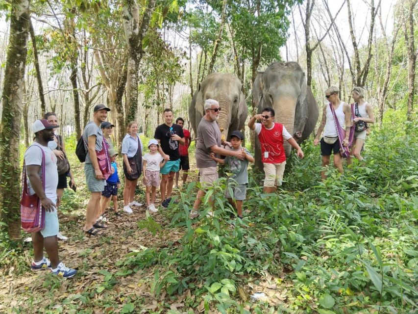Khaolak: Sunset Elephant Walk with Complimentary Cocktail - Who should book this evening visit?