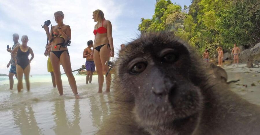 Koh Phi Phi: Captain Bob's Private Booze Cruise - Meeting at Loh Dalum Bay and getting underway