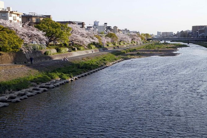 Kyoto Bar Hopping Night Tour - Key points before you book