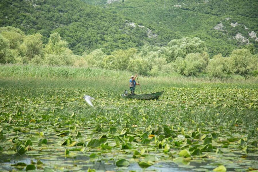 Lake Skadar: Guided Nature Cruise with Drinks - Vranjina and the first wide views