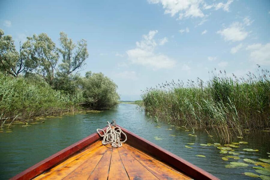 Lake Skadar: Guided Nature Cruise with Drinks - The swimming stop and refreshments