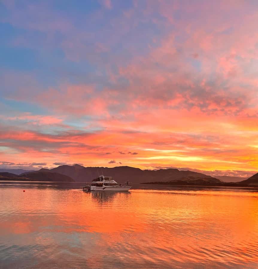 Lake Wanaka Happy Hour Cruise - What the Crew Adds to the Trip