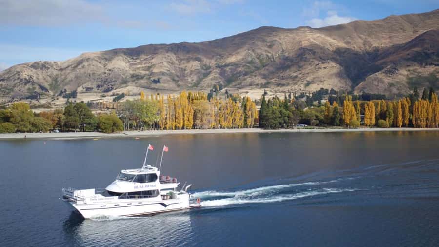 Lake Wanaka Happy Hour Cruise - Comfort, Access, and Practical Planning