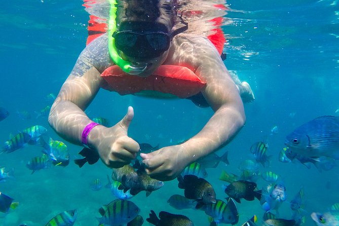 Las Caletas Beach & Adventure Park with buffet lunch and open bar - Staff, Shows, and the Tone of the Day