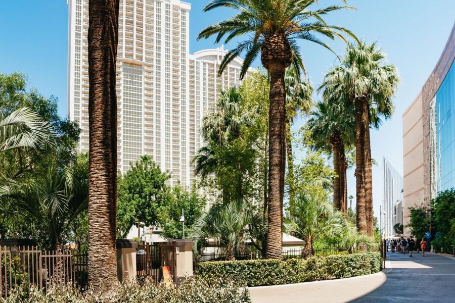Las Vegas Strip: 3-Stop Pool Party Crawl with Party Bus - Clothing, identification, and bag rules