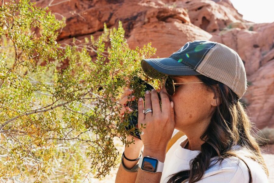 Las Vegas: Valley of Fire Guided Hike with Drinks and Snacks - The guides and the feel of a small group