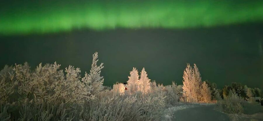 Levi: Northern Lights by Minivan with hot drinks and snacks - Hot tea, organic honey, and homemade treats