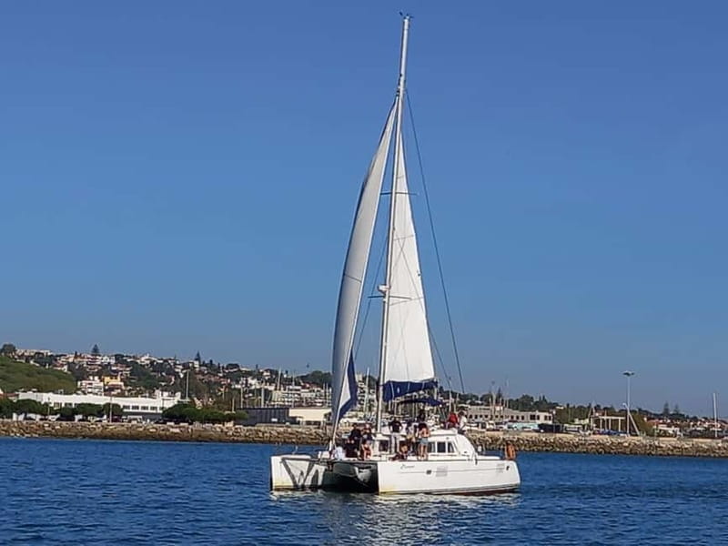 Lisbon: Catamaran Cruise with Drinks & Pastel de Nata - Who will enjoy this most?