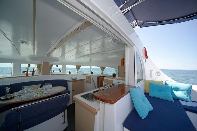 Lisbon Sailing Catamaran Public Cruise with drinks - Why Lisbon is better from the Tagus