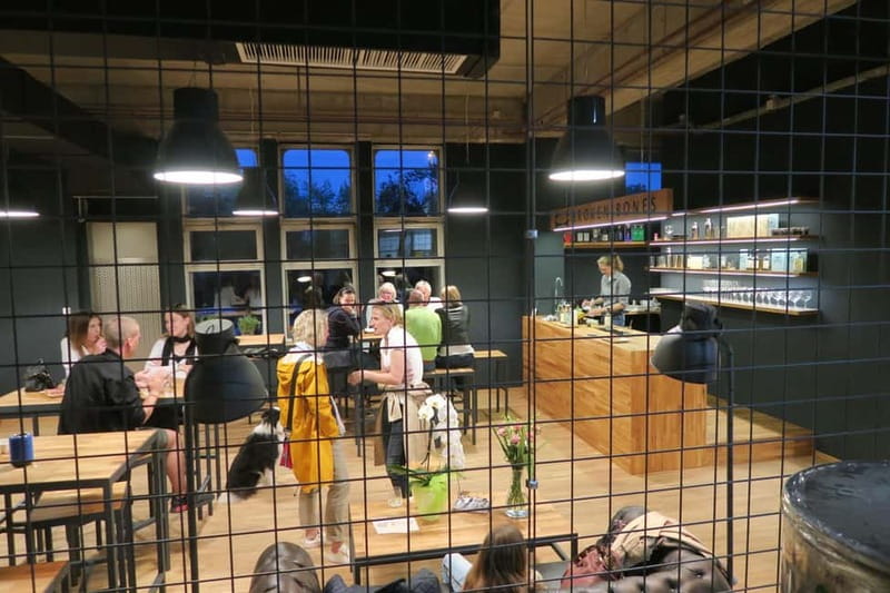Ljubljana: Broken Bones Gin Experience with Cocktails - From the first idea to the finished bottle