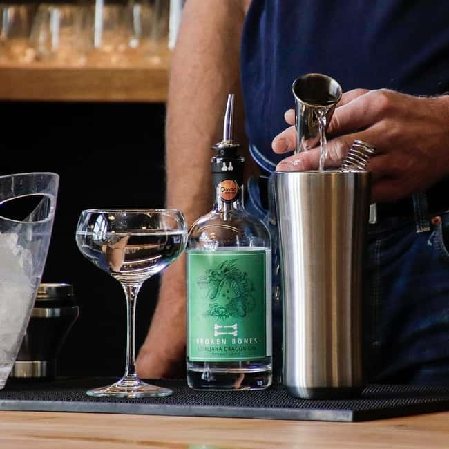 Ljubljana: Broken Bones Gin Experience with Cocktails - The opening presentation sets the tone