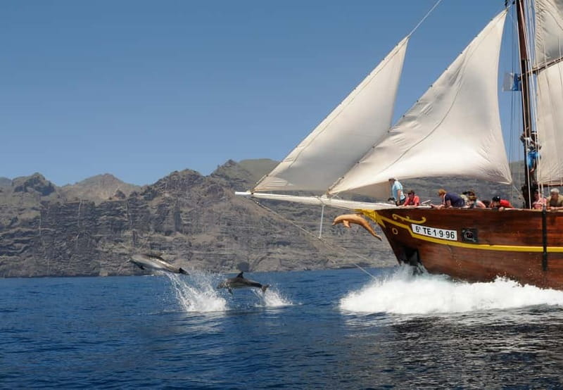 Los Gigantes: Dolphin and Whale Watching Tour with Drinks - The cliffs of Los Gigantes and Masca from sea level