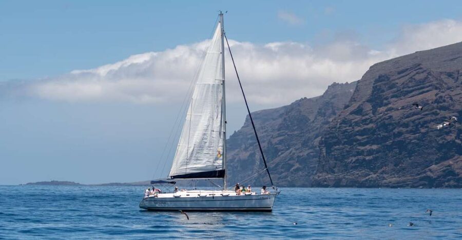 Los Gigantes: Sailing Excursion with Swimming, Drink & Tapas - Sailing below the red cliffs