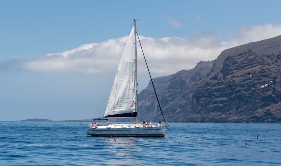 Los Gigantes: Sailing Excursion with Swimming, Drink & Tapas - Swimming and snorkeling in clear water