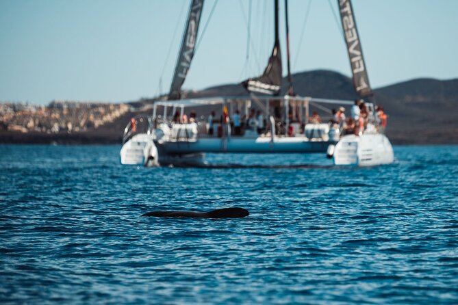 Luxury Catamaran Cruise with Brunch and Unlimited Drinks - Balinese beds, VIP seating, and the question of shade