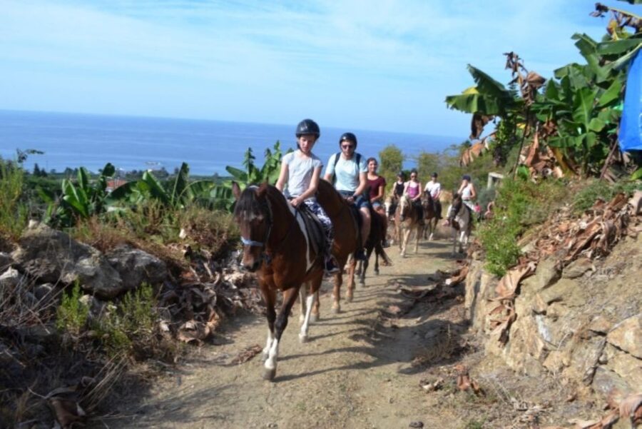 Luxury Harem Maldives Alanya All Inclusive Boat Adventure - The Guide Language Is Worth Checking