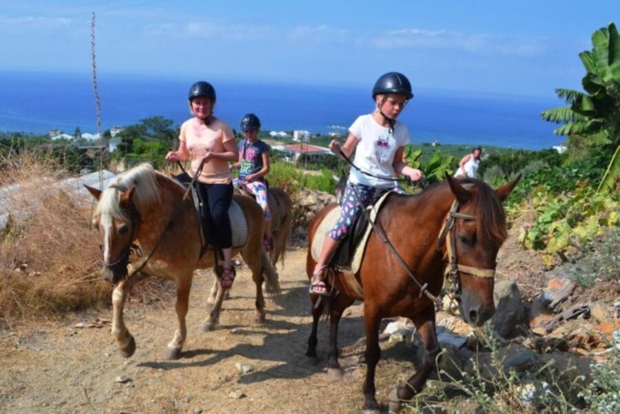 Luxury Harem Maldives Alanya All Inclusive Boat Adventure - What the $57 Price Really Covers