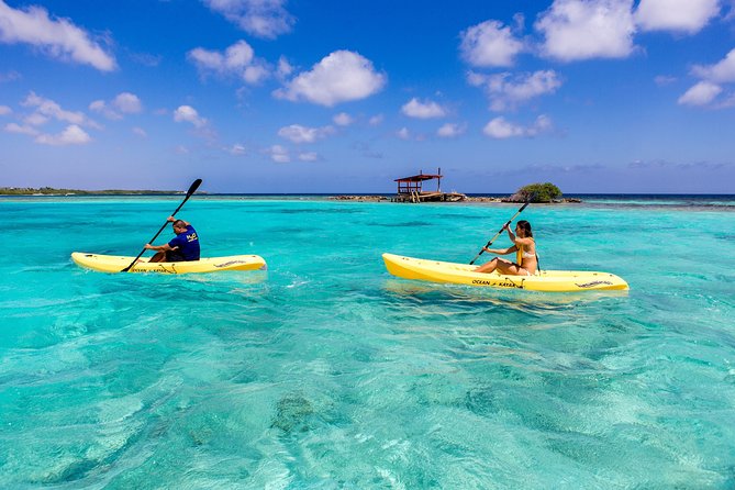 Luxury Lagoon Cruise with Onboard Chef and Signature Cocktails - The rope swing is the signature thrill