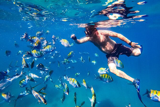 Luxury Yacht & Snorkel with All inclusive Open bar and lunch - Lunch and the open bar